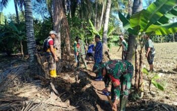 Karya Bakti TNI di Lilirilau: Koramil 1423-03 dan Warga Kompak Bersihkan Saluran Irigasi Screenshot_2025_0806_141109