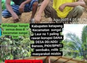 Masyarakat Menjerit, Oknum Pegawai Kecamatan Sungai Laur Diduga Gelapkan Dana PKH Hingga Miliaran Rupiah
