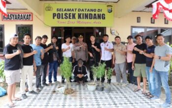 Satnarkoba Polres Bulukumba Ungkap Jaringan Penjual Tanaman Terlarang Lewat Instagram Screenshot_2025_0904_125405
