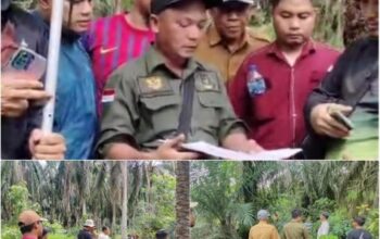 Screenshot_2025_0910_171143