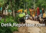 Dugaan Pembiaran Tambang Ilegal di Ratatotok, Hutan Lindung Terancam Rusak