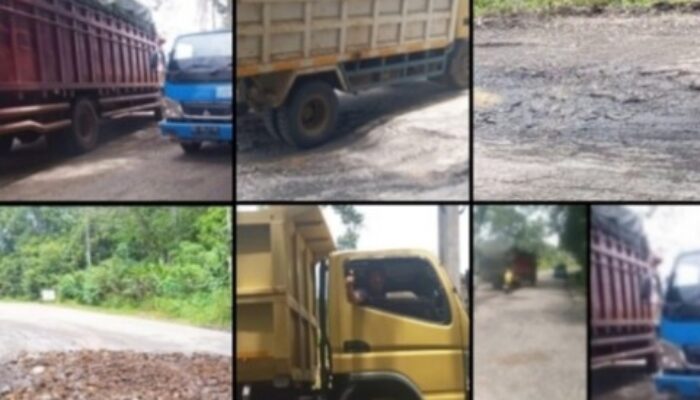 Warga Desa Petunang, Desak Presiden Prabowo Turun Tangan Perbaiki Jalan Rusak