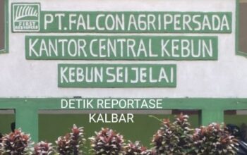 Screenshot_2025_0928_082557