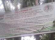 Kadis DLH Mitra Diduga Terima Setoran, Penambangan Emas Ilegal di Kebun Raya Megawati Kian Menggila