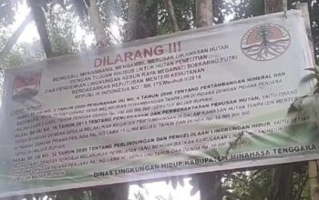 Screenshot_2025_0928_083359