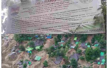 GridArt_20251010_095021460_11zon