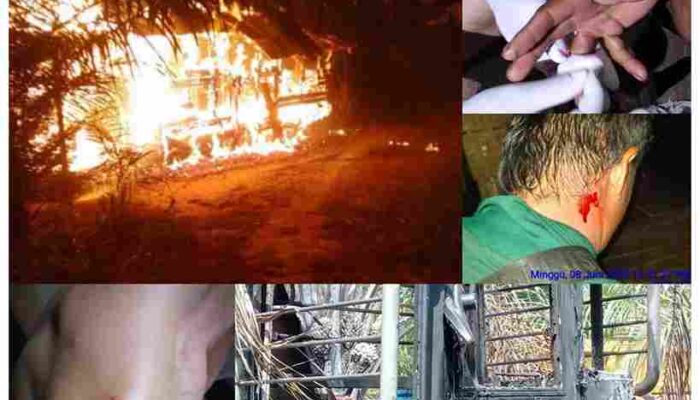 Warga Dihebohkan Penembakan, Pembakaran Rumah, dan Excavator Misterius di Kecamatan Air Upas
