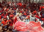 PMR WIRA UNIT 010 SMAN 10 Jeneponto Kukuhkan 90 Anggota Baru di Agrowisata Rombeng 2.