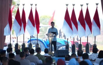 Wakil Presiden RI Tanam Jagung Kuartal IV di Tangerang, Dukung Ketahanan Pangan Nasional