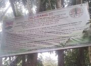 Polda Sulut Dinilai Belum Maksimal Tangani Tambang Ilegal, Hutan Konservasi Megawati Soekarnoputri Kian Terancam