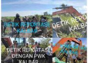 Hutan HPK Dijual Bebas: Skandal Lahan di Ketapang, Siapa Dalang di Baliknya?