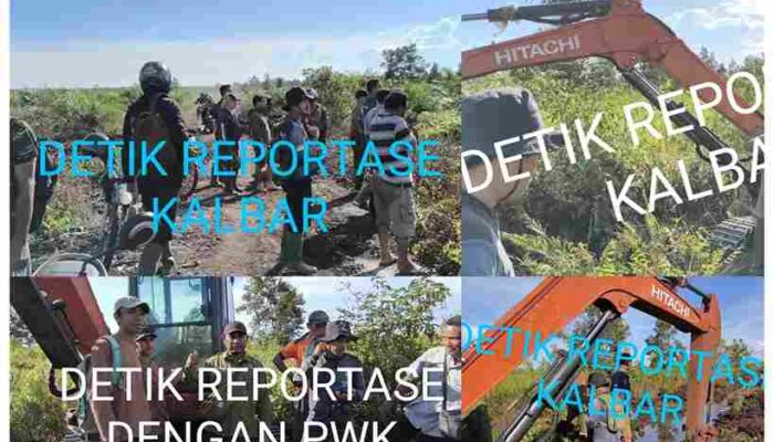 Hutan HPK Dijual Bebas: Skandal Lahan di Ketapang, Siapa Dalang di Baliknya?