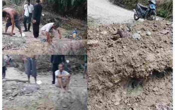 GridArt_20251126_114848717_11zon