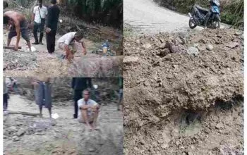 Konflik Lahan Tak Kunjung Selesai, Pemilik Lahan Putus Total Akses Jalan PT Arara Abadi di Sorek GridArt_20251126_114848717_11zon