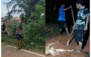 GridArt_20251126_125227414_11zon