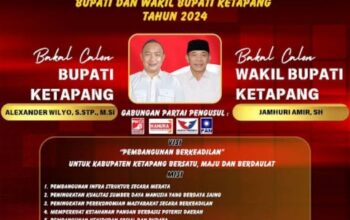 Screenshot_2025_1102_205047