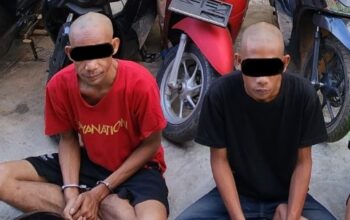 Screenshot_2025_1107_081738