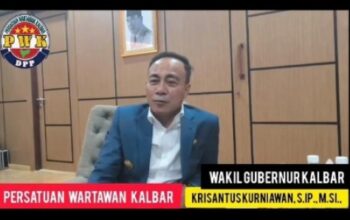 Screenshot_2025_1113_085035