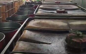 Screenshot_2025_1120_182232