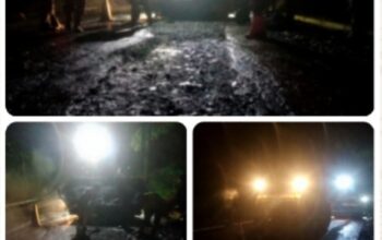 Screenshot_2025_1123_114705