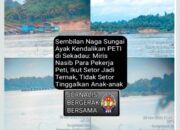 Nasib Pekerja PETI Sekadau: Jadi “Ternak Setoran”, Tak Menyetor Ditangkap, Dugaan ‘9 Naga Sungai Ayak’ Mengendali