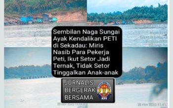 Screenshot_2025_1207_080531