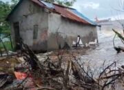 Hidup Dalam Cemas: Ombak Hampir Merobohkan Rumah, Kubus Penahan Tak Dipasang, BWS Kalbar I Harus Bertanggung Jawab