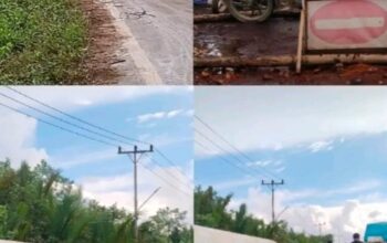 Screenshot_2025_1220_194353