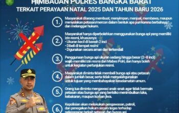 Screenshot_2025_1225_084244