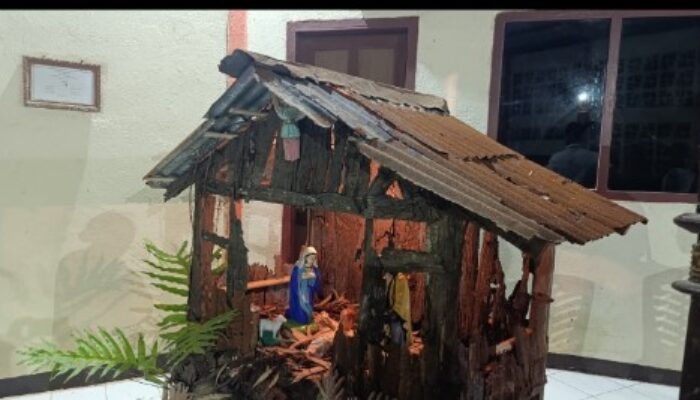 OMK Paroki Boganatar Sikka Rangkai Kandang Natal dari Seng Bekas Erupsi Gunung Lewotobi