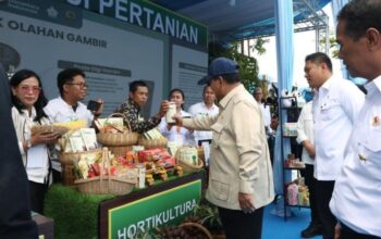 Presiden Prabowo Hadiri Panen Raya Nasional di Karawang, Umumkan Swasembada Pangan 2025: Apa Dampaknya bagi Petani? Presiden Prabowo Subianto menghadiri Panen Raya Nasional di Karawang dan mengumumkan swasembada pangan 2025