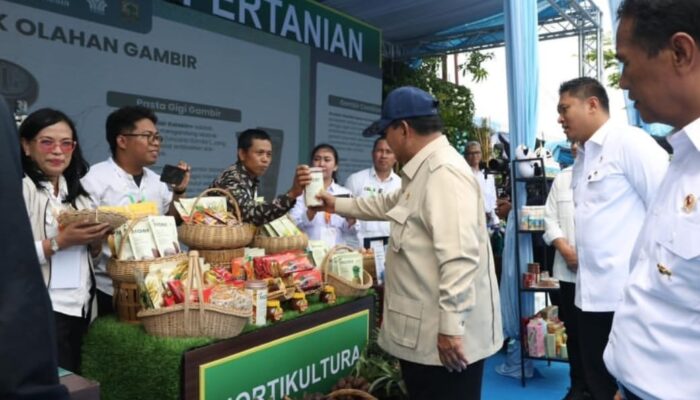 Presiden Prabowo Hadiri Panen Raya Nasional di Karawang, Umumkan Swasembada Pangan 2025: Apa Dampaknya bagi Petani?