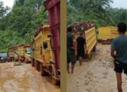 Angkutan Buah PT PLPB Diduga Melebihi Kapasitas, Jalan Kekurak–Mahawa di Ketapang Rusak Parah: Siapa Bertanggung Jawab?