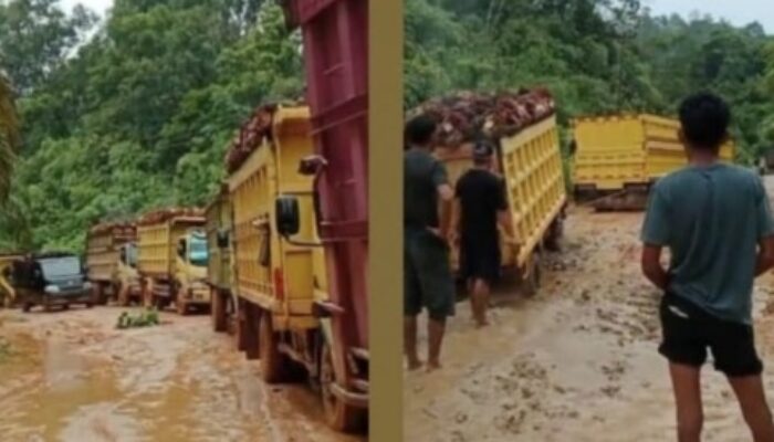 Angkutan Buah PT PLPB Diduga Melebihi Kapasitas, Jalan Kekurak–Mahawa di Ketapang Rusak Parah: Siapa Bertanggung Jawab?