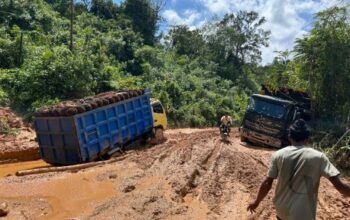 Ruas jalan provinsi rusak parah di Kabupaten Ketapang Kalimantan Barat yang dikeluhkan masyarakat