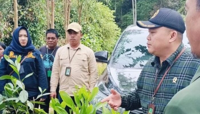 Putusan Verstek PN Pelalawan soal Gugatan Hutan Sungai Buluh Tuai Kritik, AJPLH Bertanya: Di Mana Perlindungan Lingkungan?