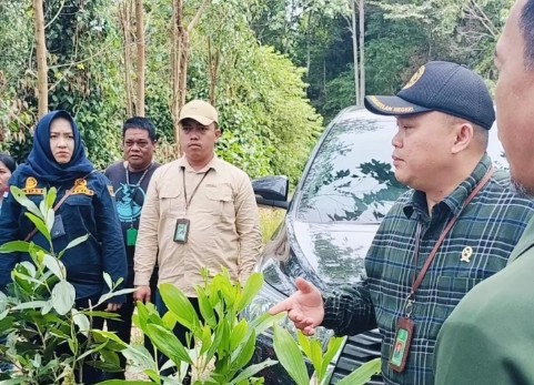 Sidang setempat PN Pelalawan terkait gugatan lingkungan AJPLH di kawasan hutan produksi Sungai Buluh
