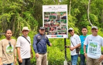 Anggota DPD RI H. Abdul Hamid meninjau langsung Kawasan Mangrove Paghet Seghaghah di Desa Kelapa Pati, Kecamatan Bengkalis, Kabupaten Bengkalis, sebagai bagian dari upaya pelestarian lingkungan pesisir.