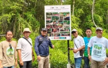 H. Abdul Hamid Kunjungi Mangrove Paghet Seghaghah Bengkalis, Apa Pesan Penting untuk Masa Depan Pesisir? Anggota DPD RI H. Abdul Hamid meninjau langsung Kawasan Mangrove Paghet Seghaghah di Desa Kelapa Pati, Kecamatan Bengkalis, Kabupaten Bengkalis, sebagai bagian dari upaya pelestarian lingkungan pesisir.