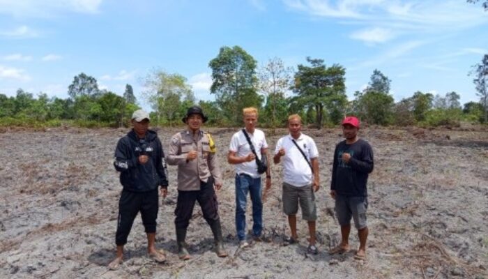 Ketapang Dorong Jagung Hibrida Demi Ketahanan Pangan: Polisi Turun ke Lahan, Seberapa Besar Manfaatnya bagi Petani?