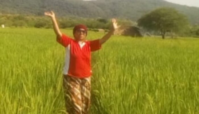 Gita, Janda Tangguh dari Kupang yang Bertani di Sawah Demi Masa Depan Tiga Anaknya