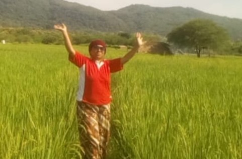 Gita janda tangguh dari Kupang mengolah sawah untuk menghidupi tiga anaknya