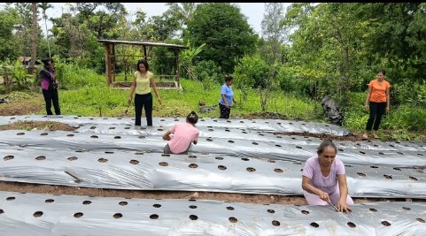 Sejumlah perempuan di Kupang melakukan kegiatan pelestarian lingkungan, menunjukkan kepedulian dan peran mereka dalam keberlanjutan ekologis