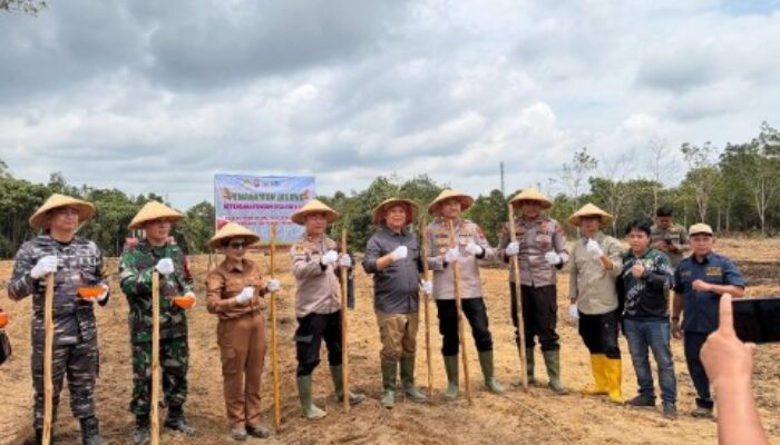Ketahanan Pangan Nasional Dimulai dari Desa Ratu Elok: Bupati Ketapang dan Polri Pimpin Penanaman Jagung untuk Kemandirian Daerah