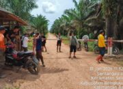 Hukum Dipertanyakan di Seluas Kalbar: Dugaan Tebang Pilih Kasus ‘Ninja Sawit’ di Aset Negara PT APN, Siapa Dilindungi?