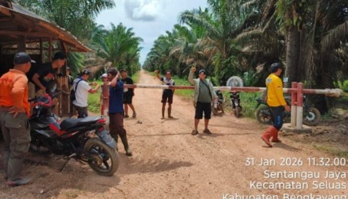 Hukum Dipertanyakan di Seluas Kalbar: Dugaan Tebang Pilih Kasus ‘Ninja Sawit’ di Aset Negara PT APN, Siapa Dilindungi?