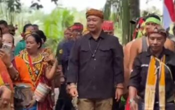 bupati ketapang hadiri ritual adat air upas