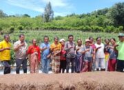 Yayasan Media Flores Perduli: Bagaimana Program Sosial Membantu Masyarakat Marginal di NTT?