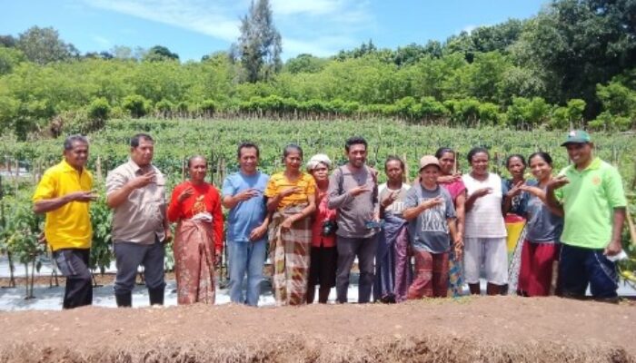 Yayasan Media Flores Perduli: Bagaimana Program Sosial Membantu Masyarakat Marginal di NTT?