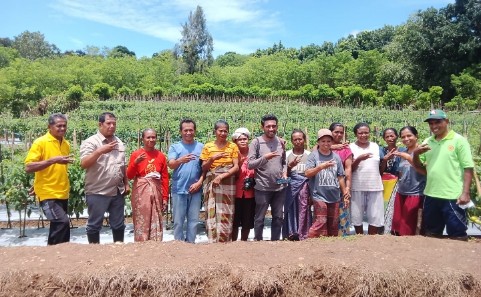 Yayasan Media Flores Perduli, Andre Goru, program sosial NTT, literasi masyarakat, penghijauan Flores, pelatihan petani Timor, kesejahteraan masyarakat NTT